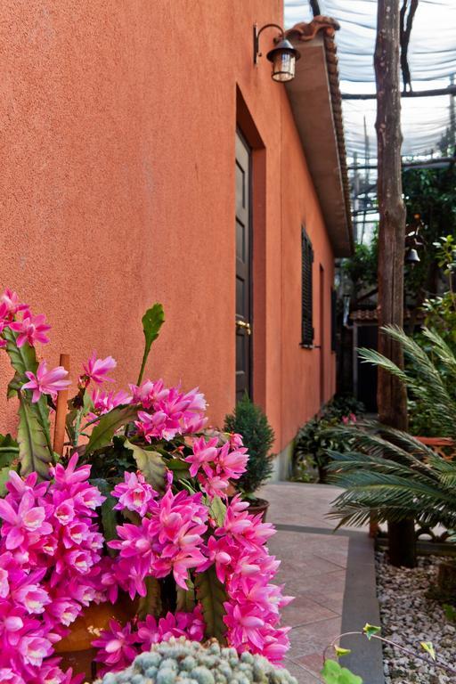 La Maison De Titty & Margherita Piano di Sorrento Eksteriør billede