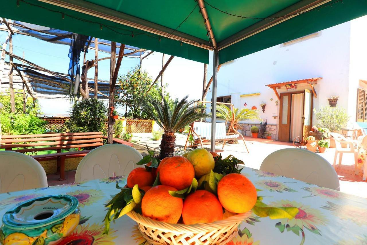 La Maison De Titty & Margherita Piano di Sorrento Eksteriør billede